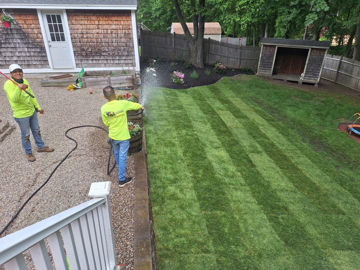 After: freshly installed, striped lawn