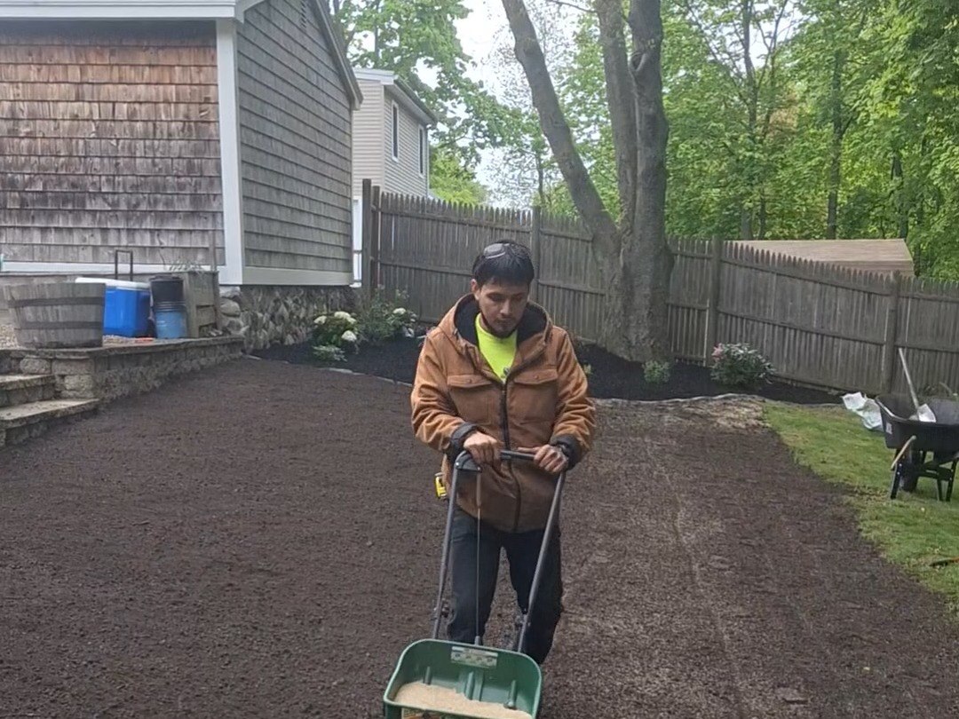 Before: bare soil bed, prepped and seeded