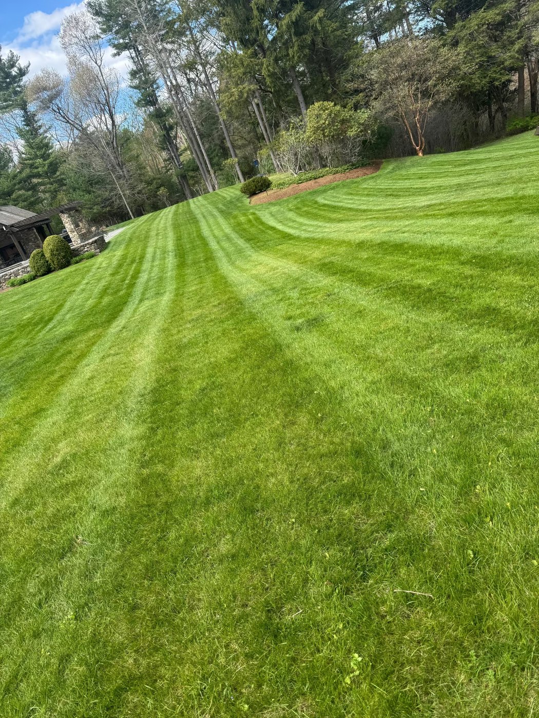 Freshly mowed striped lawn
