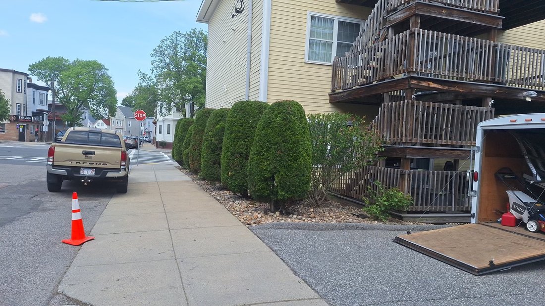 Neatly trimmed hedges
